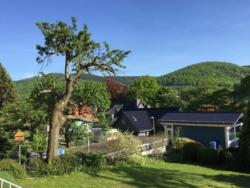Ferienhaus Goethestrasse Bad Harzburg Kültér fotó
